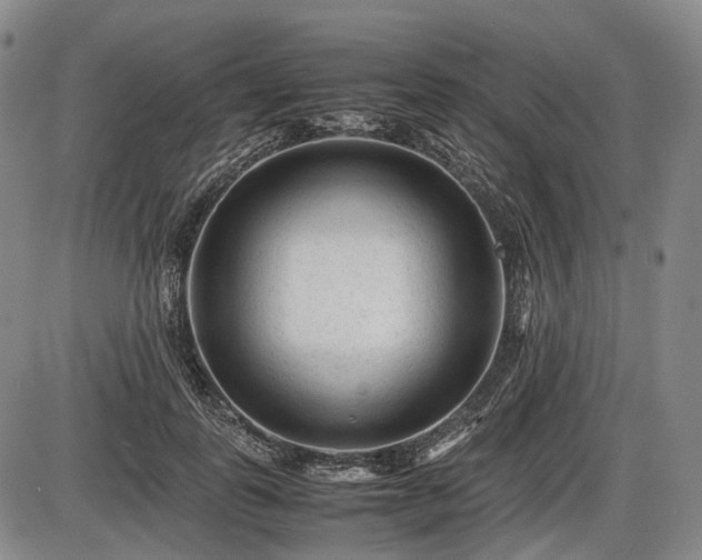 X0000086060747200703301040