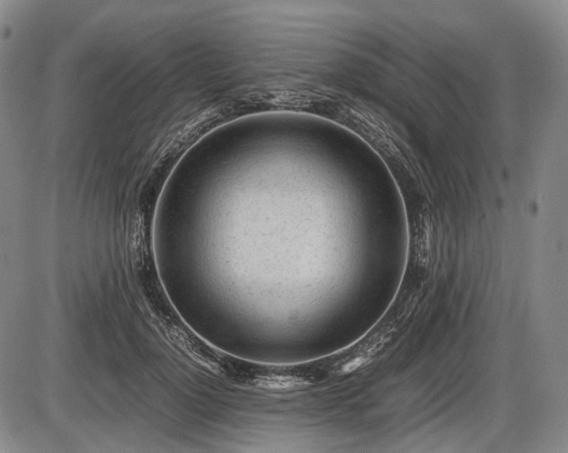 X0000086060748200703301040