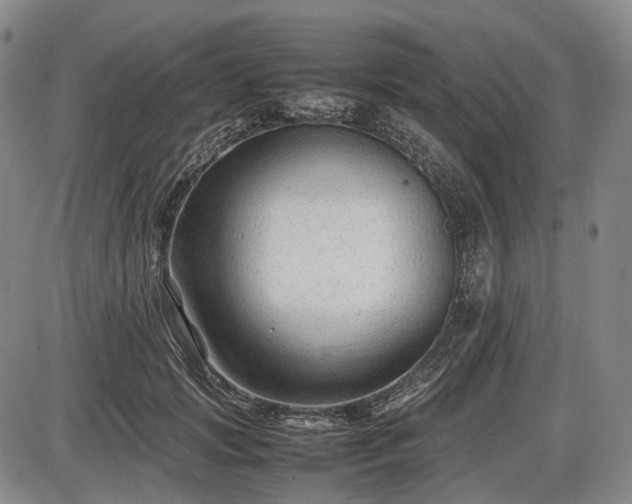 X0000086060749200703301040