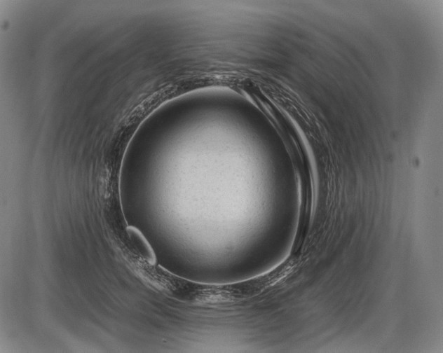 X0000086060750200703301040