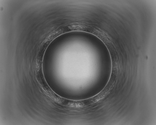 X0000086060751200703301040