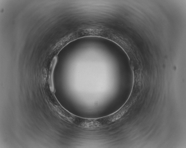 X0000086060752200703301040