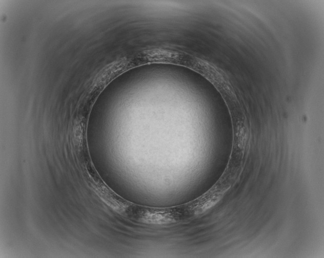 X0000086060753200703301040