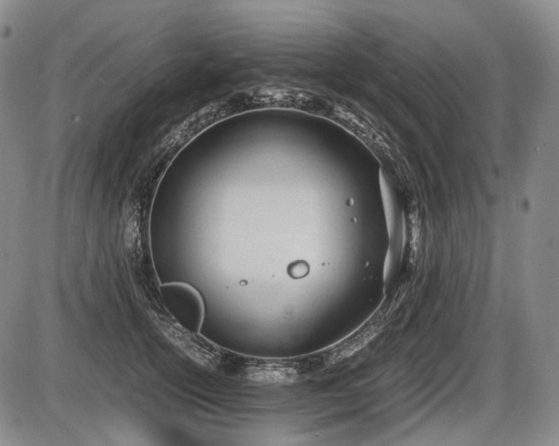 X0000086060754200703301040