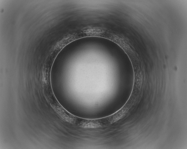 X0000086060755200703301040