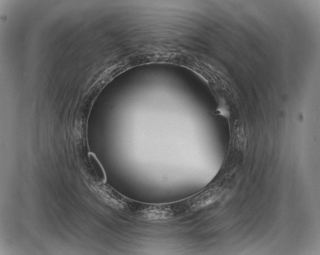 X0000086060756200703301040