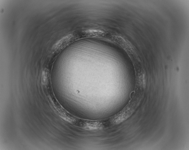 X0000086060757200703301040