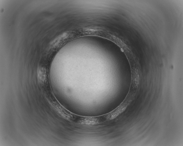 X0000086060758200703301040