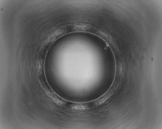 X0000086060759200703301040