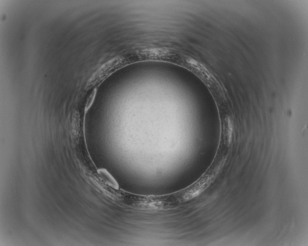 X0000086060760200703301040