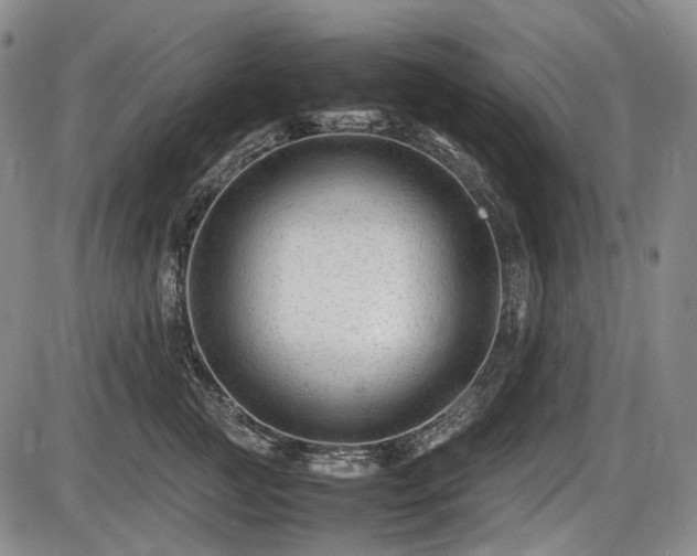 X0000086060761200703301040