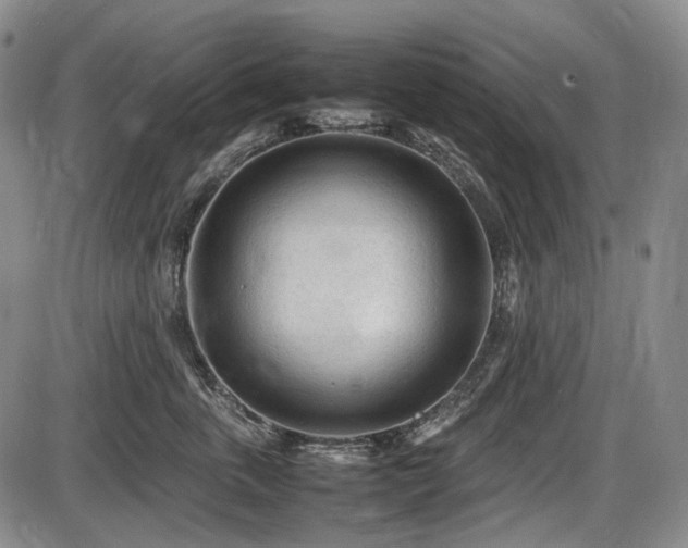 X0000086060763200703301041