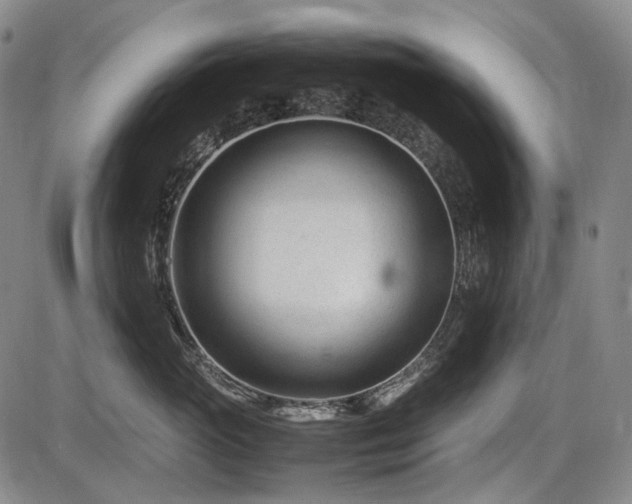 X0000086060765200703301041