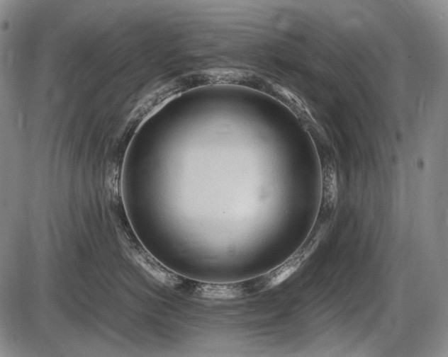 X0000086060766200703301041