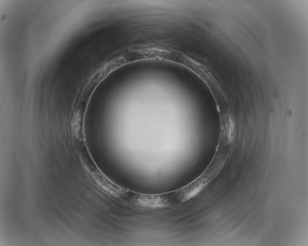 X0000086060767200703301041