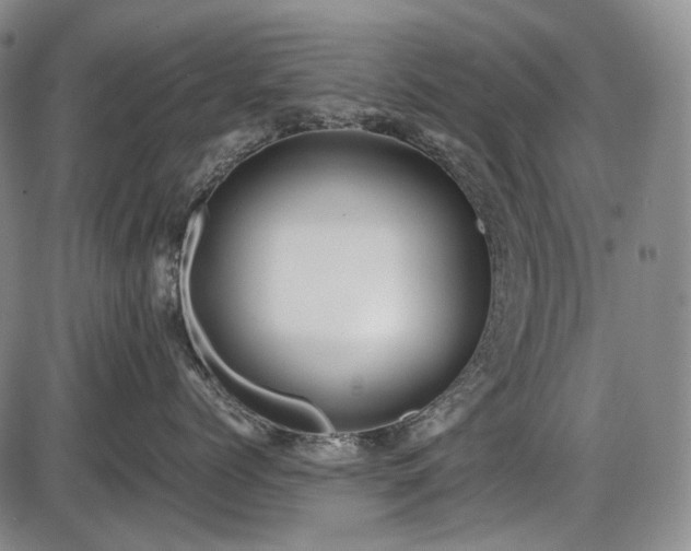 X0000086060768200703301041