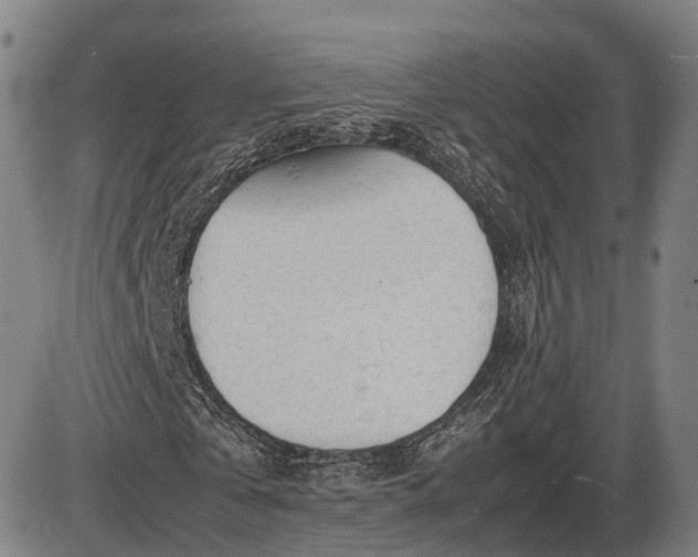 X0000086060769200703301040