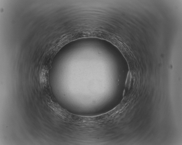 X0000086060770200703301040