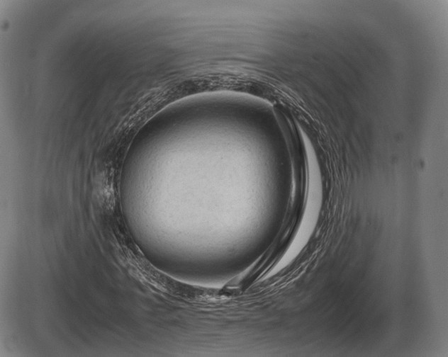 X0000086060771200703301040