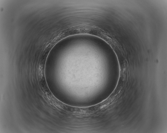 X0000086060772200703301040