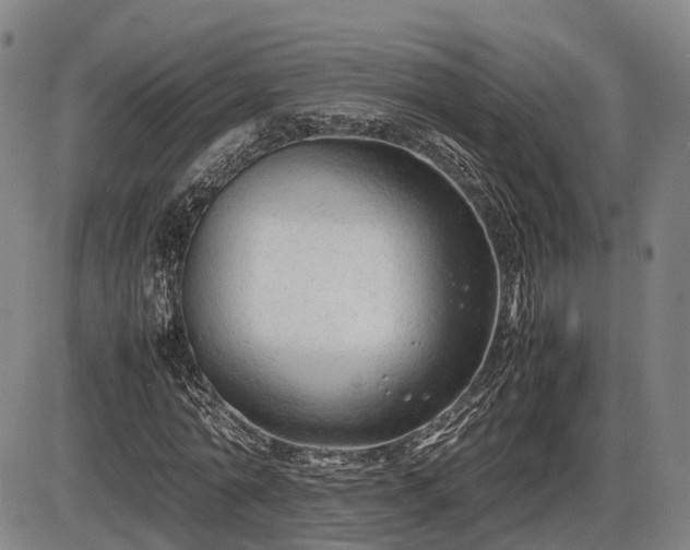 X0000086060774200703301040