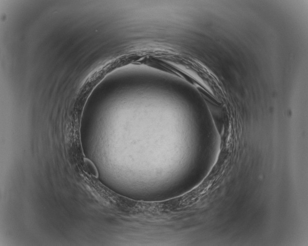 X0000086060775200703301040