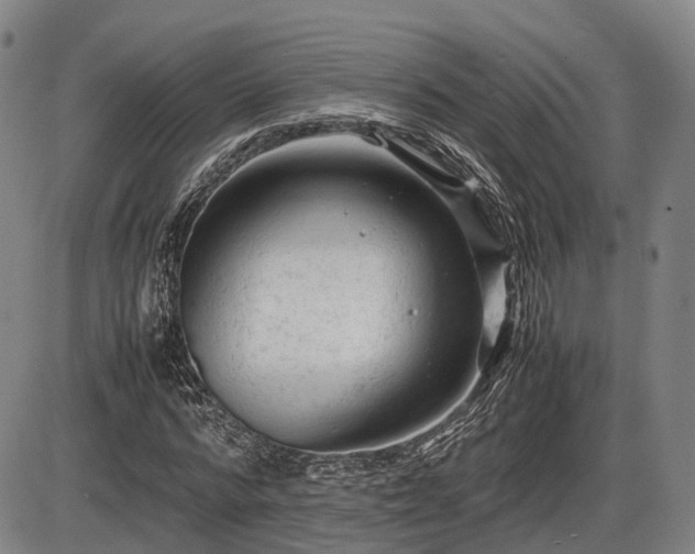 X0000086060776200703301040