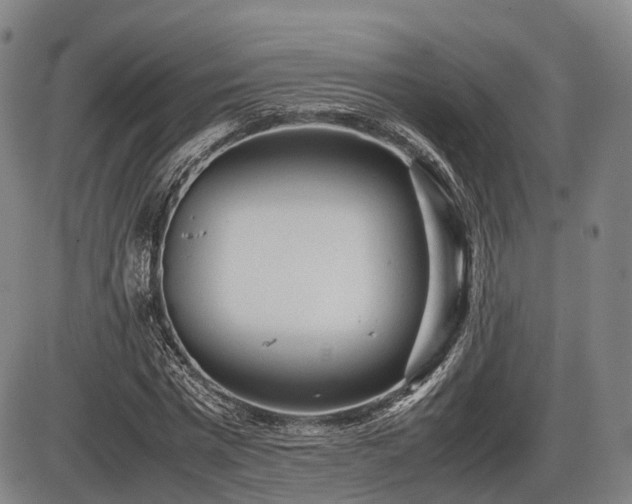 X0000086060777200703301040