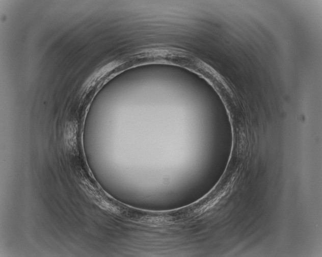 X0000086060778200703301040