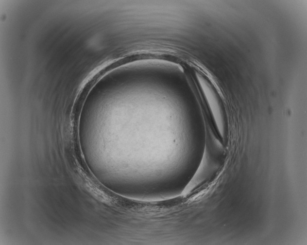 X0000086060779200703301040