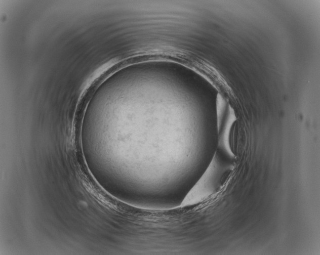 X0000086060780200703301040