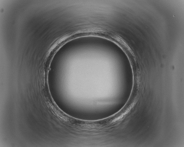 X0000086060781200703301040