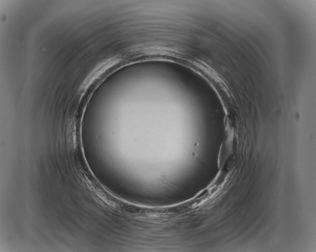 X0000086060782200703301040