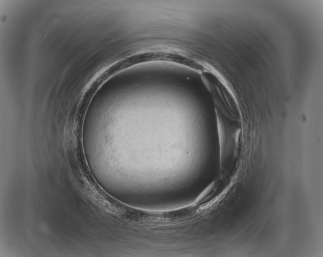 X0000086060783200703301040