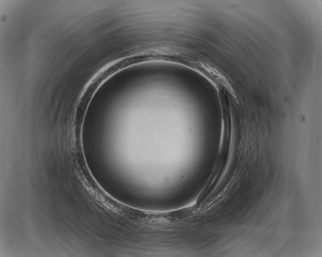 X0000086060784200703301040