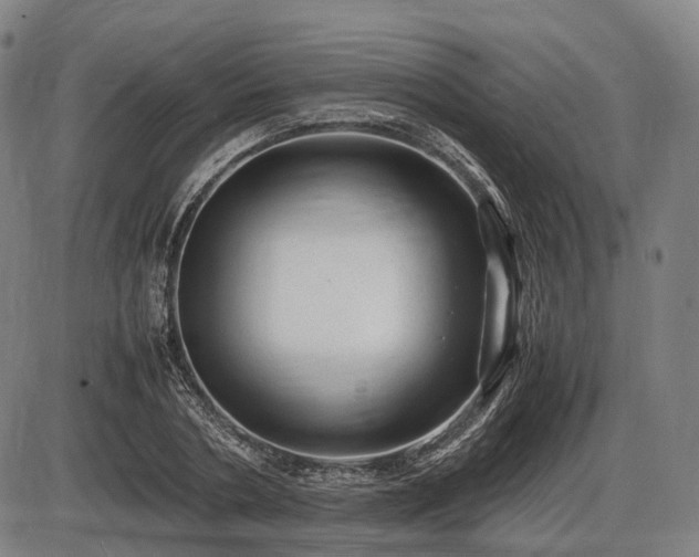 X0000086060786200703301040