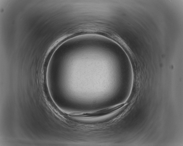 X0000086060787200703301039