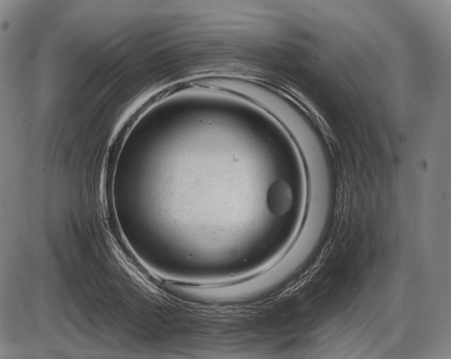 X0000086060788200703301039