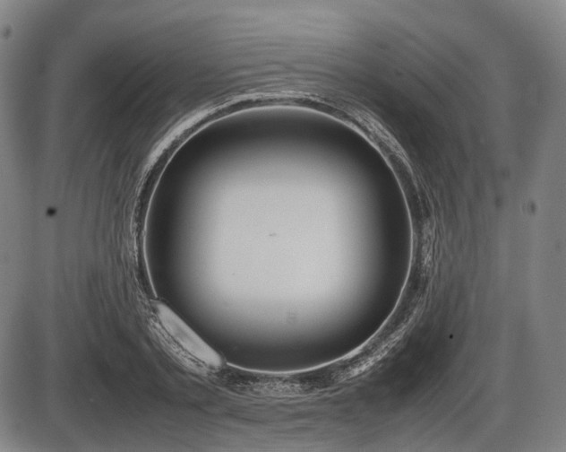 X0000086060789200703301039