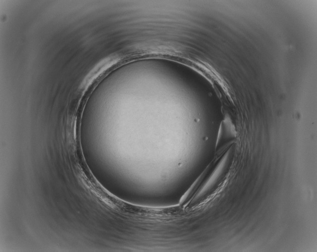 X0000086060790200703301039