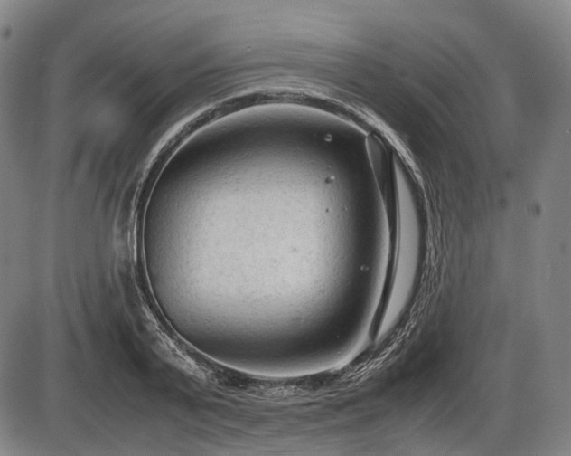 X0000086060791200703301039