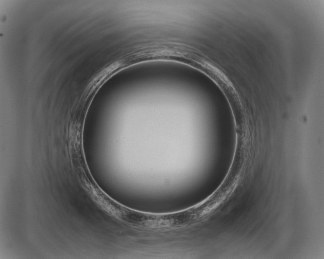 X0000086060793200703301039