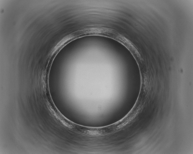 X0000086060794200703301039