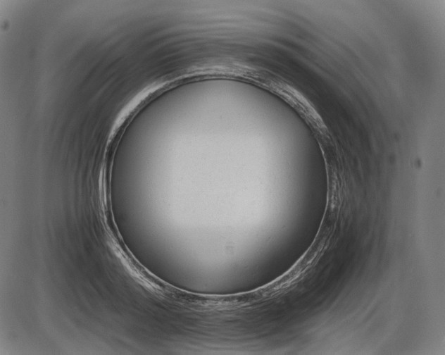 X0000086060796200703301039