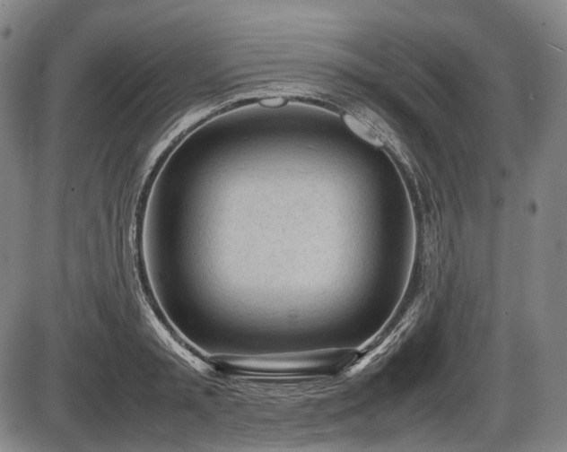 X0000086060797200703301039