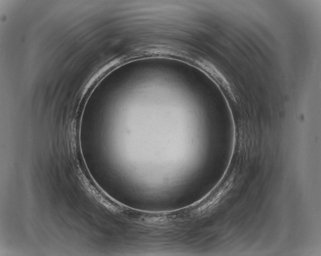 X0000086060798200703301039