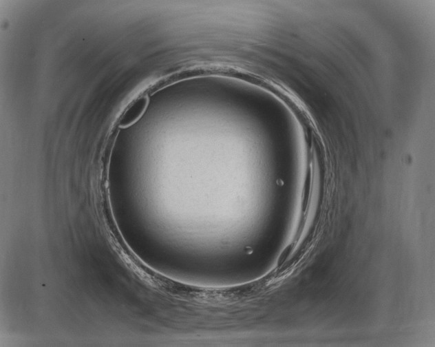 X0000086060799200703301039