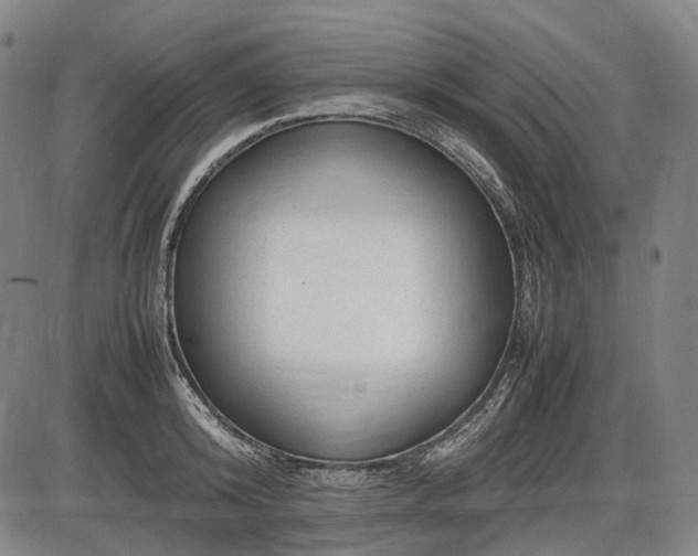 X0000086060800200703301039