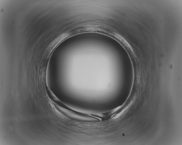 X0000086060801200703301039