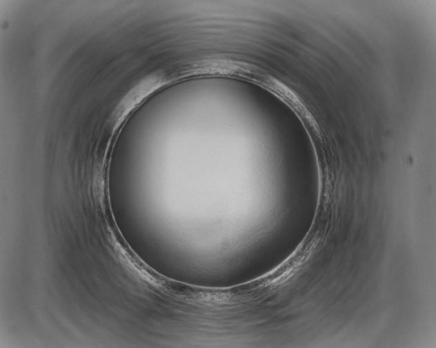 X0000086060802200703301039